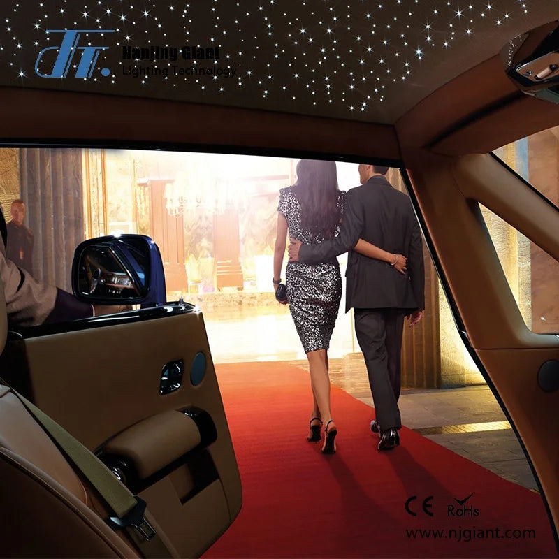 Décoration lumière  fibre optique, toit étoilé