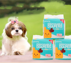 10PCS/Sac Couches pour chiens  jetable