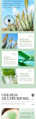 60 pcs Masque l'Aloe Vera et au Collagène Anti-cernes Anti-poches Hydratant Anti-rides
